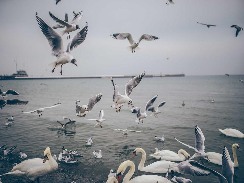 sudoku magazine section screenshot 4